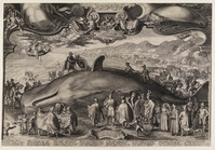KG 02164
          <br/>
          Potvisstranding, 1602
          <br/>
          <em>Saenredam, Jan (ca. 1565/1566-1607)</em>
